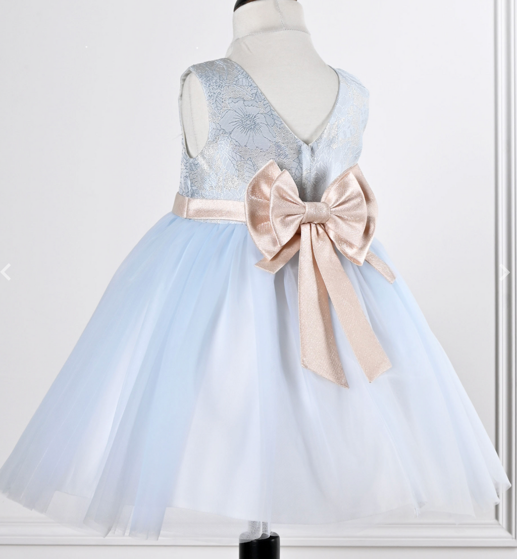 Sky Blue and pink Baby Girl dress