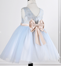 Sky Blue and pink Baby Girl dress