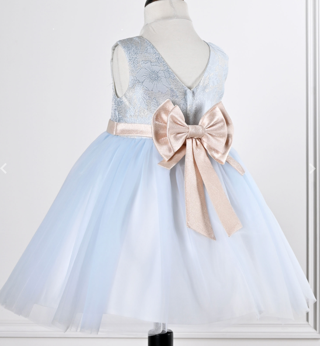 Sky Blue and pink Baby Girl dress