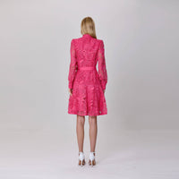 Short dress with long sleeves, all in lace