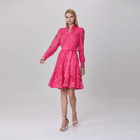 Short dress with long sleeves, all in lace