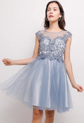 Short lace and tulle dress