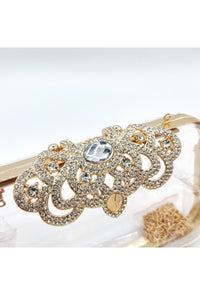 Transparent  & Gold Clutch bag