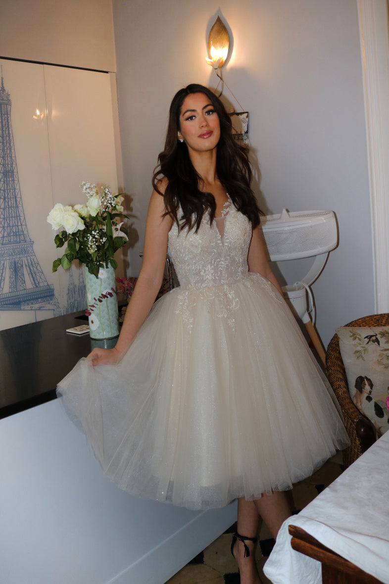 Lace and Tulle short Dress