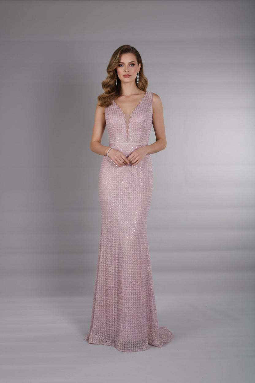 Rose shadow fully Rhinestone dress